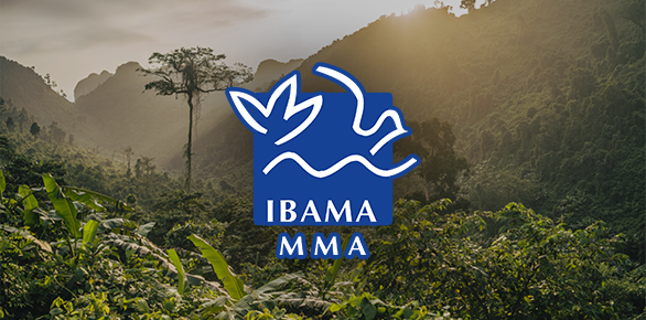 IBAMA MMA